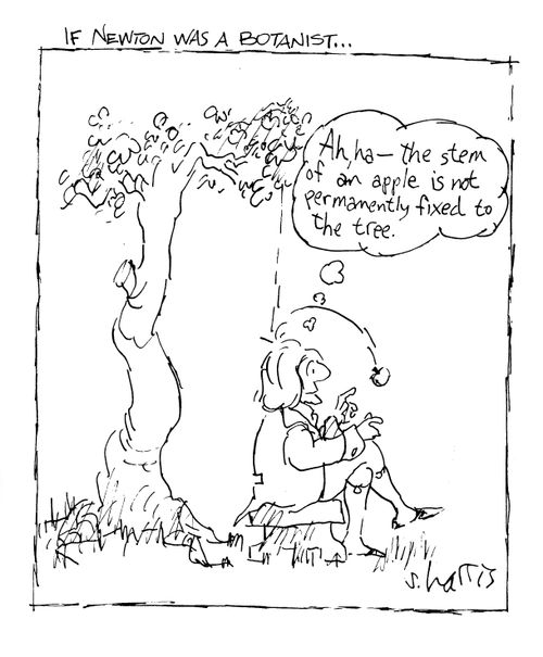 If Newton was a Botanist...'Ah, ha, the stem of an apple is not permanently fixed to the tree.'