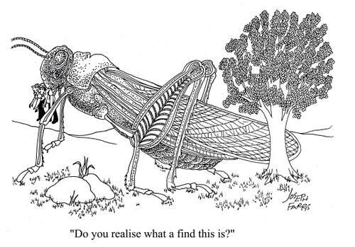 'Do you realise what a find this is?'