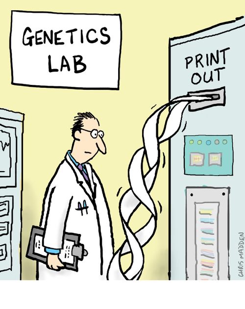 Printout in a genetics laboratory forming dna double helix