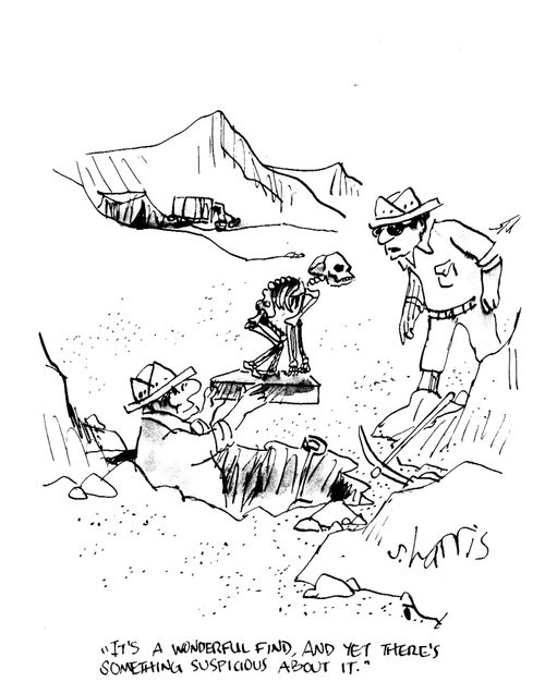 'It's a wonderful find, and yet there's something suspicious about it.'