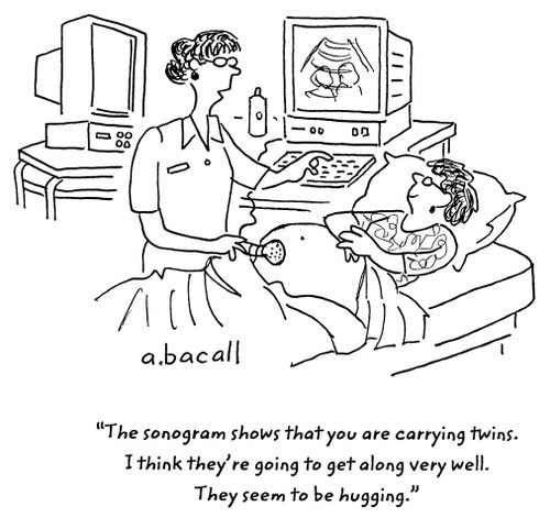 'The sonogram shows that you are carrying twins. I think they're going to get along very well. They seem to be hugging.'