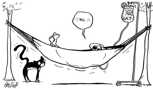 In a hammock with a gin and tonic on a summers day