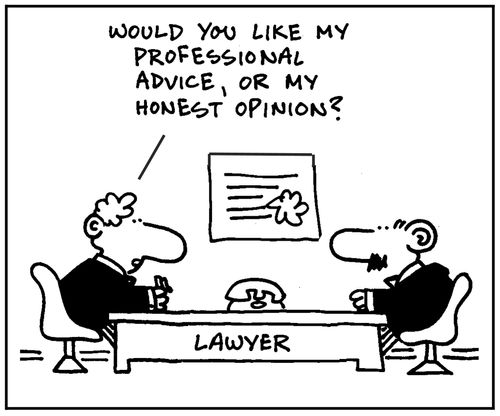 'Would you like my professional advice, or my honest opinion?.'
