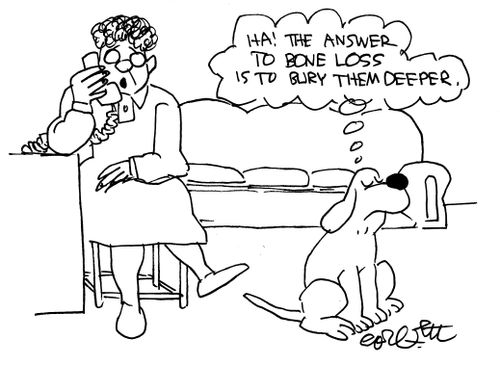 "The answer to bone loss is to bury them deeper.' 