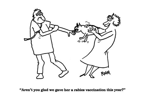 'Aren't you glad we gave her a rabies vaccination this year?'