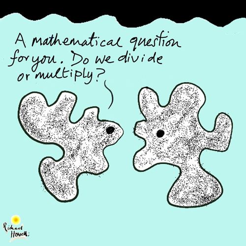 A mathematical question for you. Do we divide or multiply?