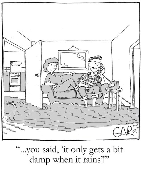 '...you said, 'it only gets a bit damp when it rains'!''