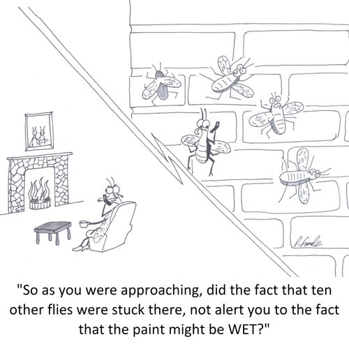 'So as you were approaching, did the fact that ten other flies were stuck there, not alert you to the fact that the paint might be WET?'