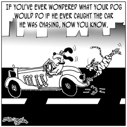 If you've ever wondered what your dog would do if he ever caught the car he was chasing, now you know.