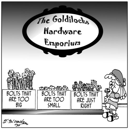 'At The Goldilocks Hardware Emporium' Nuts and bolts that say 'Too Big,' 'Too Small,' and 'Just Right.'