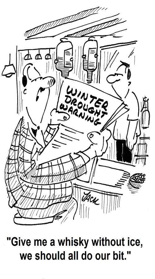 'Give me a whisky without ice, we should all do our bit.'