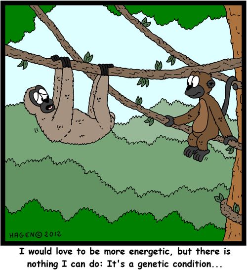 'I would love to be more energetic, but there is nothing I can do: It's a genetic condition...'