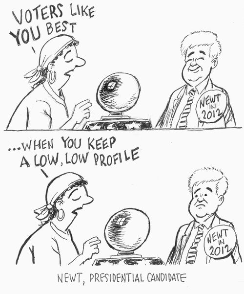 Newt, Presidential Candidate