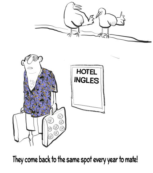 "They come back to the same spot every year to mate!"