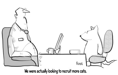 "We were actually looking to recruit more cats."