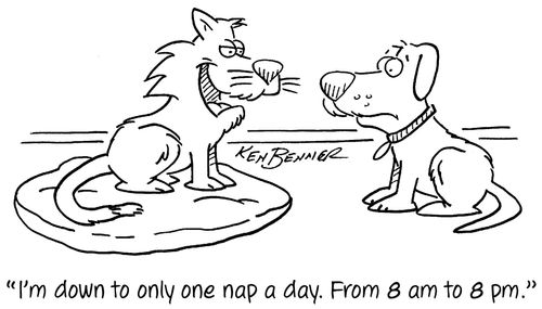 "I'm down to only one nap a day. From 8 am t0 8 pm."