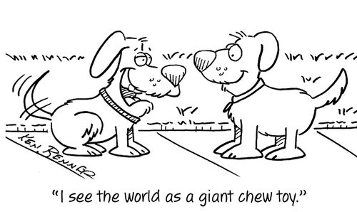 "I see the world as a giant chew toy."