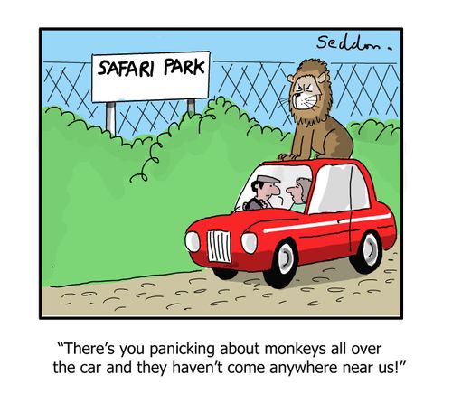 "There's you panicking about monkeys all over the car and they haven't come anywhere near us!"