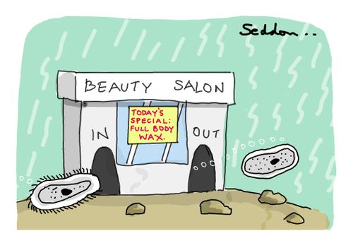 Beauty treatment for Paramecium