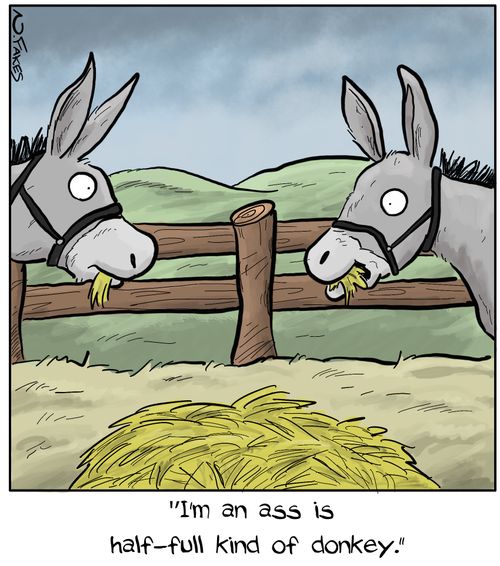 "I'm an ass is half-full kind of donkey."