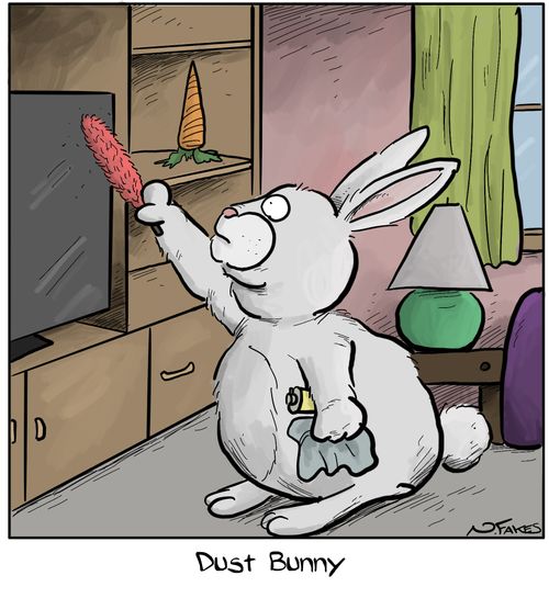 Dust Bunny