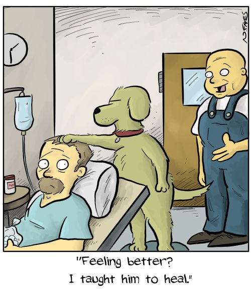 "Feeling better? I taught him to heal."