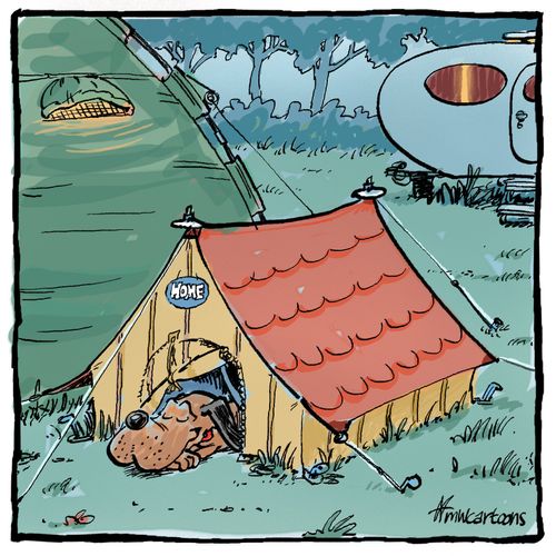 Dog with his own tent.
