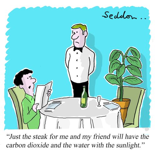 "Just the steak for me and my friend will have the carbon dioxide and the water with the sunlight."