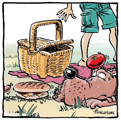 Picnic with thieves