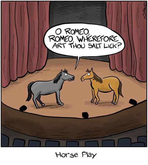 Horse Play