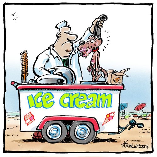 Ice Cream Lover