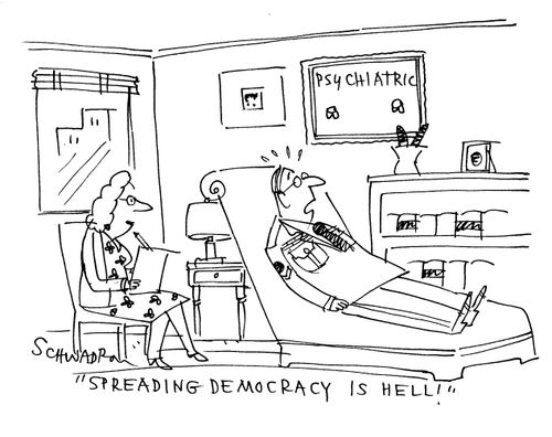 'Spreading democracy is hell!'