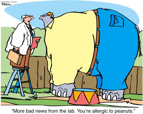 'More bad news from the lab. You're allergic to peanuts.'