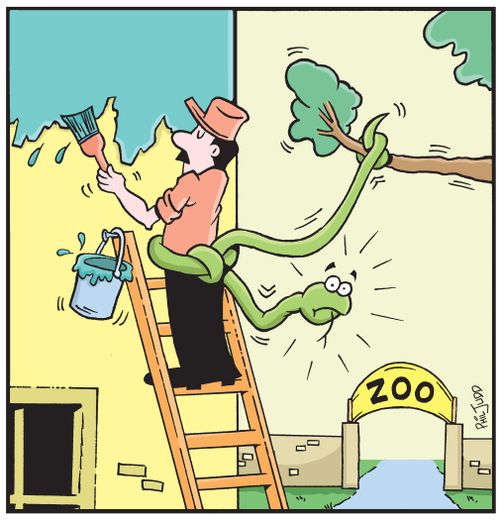 Handyman painting in a zoo, He is using a snake as a safety rope.