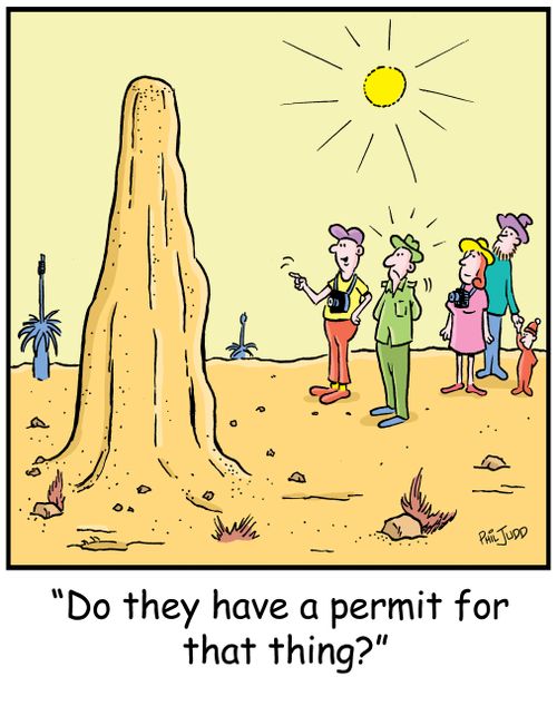 'Do they have a permit for that thing?'