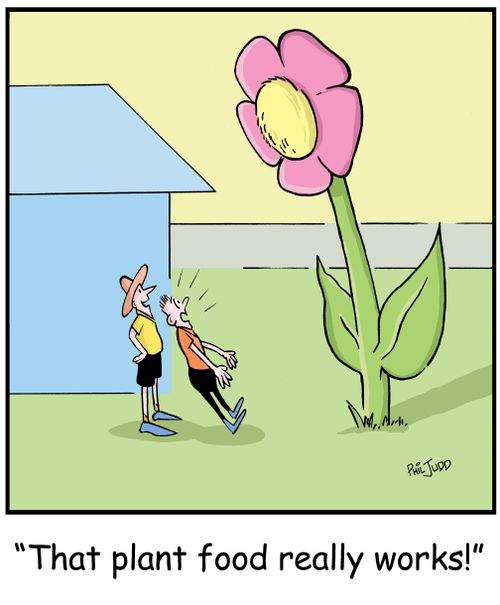 'That plant food really works!'