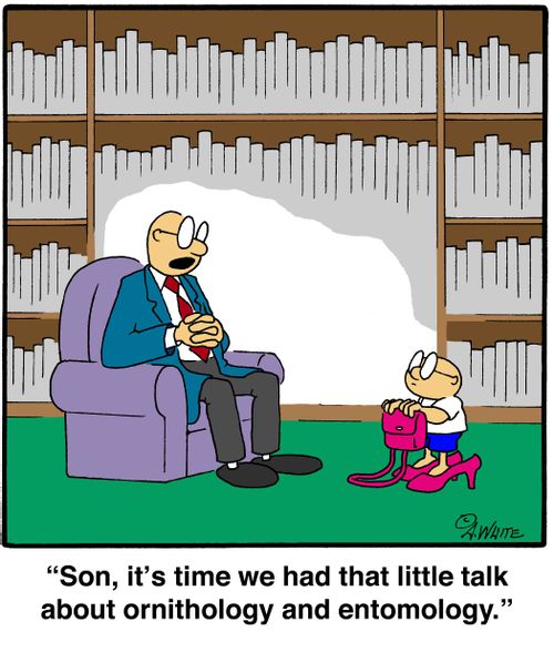 'Son, it's time we had that little talk about ornithology and entomology.'