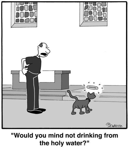 'Would you mind not drinking from the holy water?'