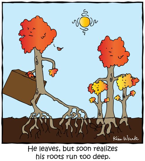 He leaves, but soon realizes his roots run too deep.
