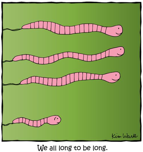 We all long to be long.