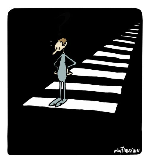 Zebra Crossing