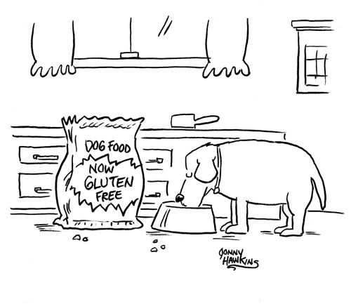 Dog eating near dogfood bag: 'Now Gluten Free'