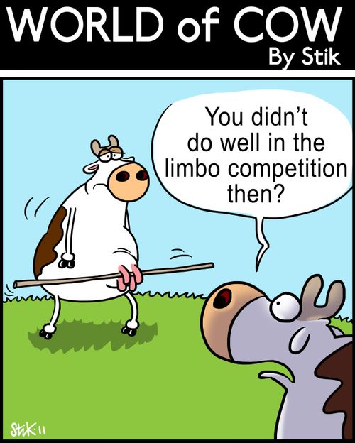 'You didn't do well in the limbo competition then?'