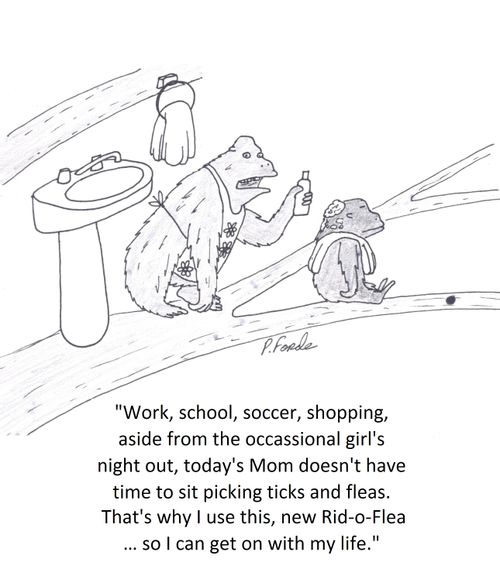 'Work, school, soccer, shopping, aside from the occassional girl's night out, today's Mom doesn't have time to sit picking ticks and fleas.'
