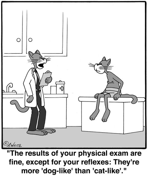 'The results of your physical exam are fine, except for your reflexes: They're more 'dog-like' than 'cat-like'.'