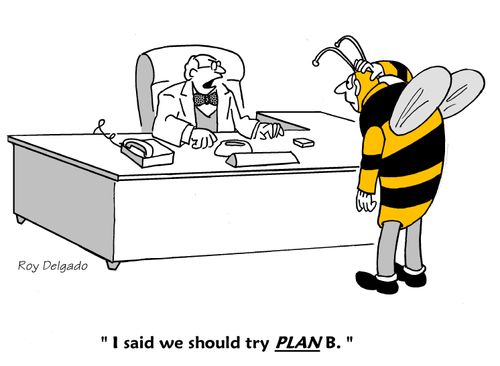 'I said we should try PLAN B.'