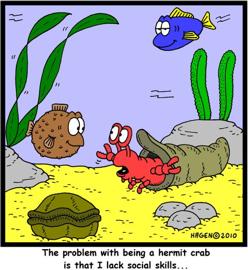 'The problem with being a hermit crab is that I lack social skills...'