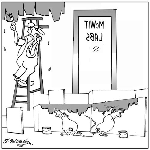 Mice in a lab maze painting their little walls as men paint the walls in a laboratory.