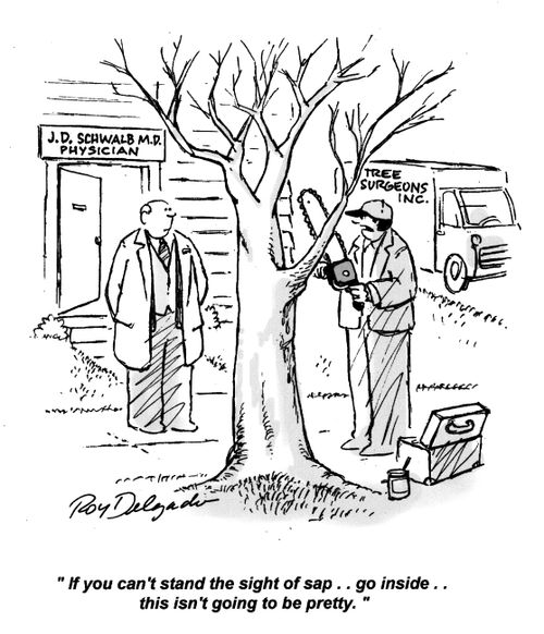 'If you can't stand the sight of sap... go inside... this isn't going to be pretty.'