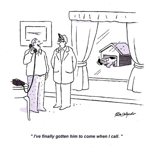 'I've finally gotten him to come when I call.'